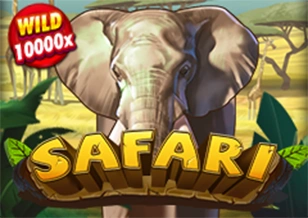 AFB : Safari - TURBOBET168